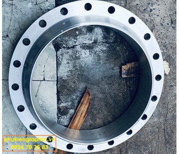 Weld Neck Flange ANSI Class 150 F316