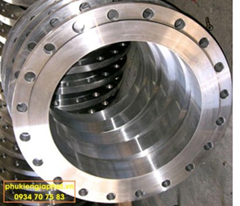 Mặt bích rỗng