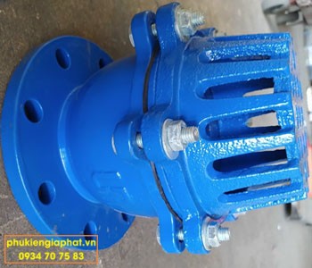 Rọ bơm gang mặt bích PN16