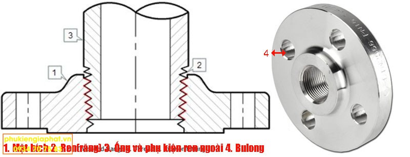 Threaded Flange stailess steel