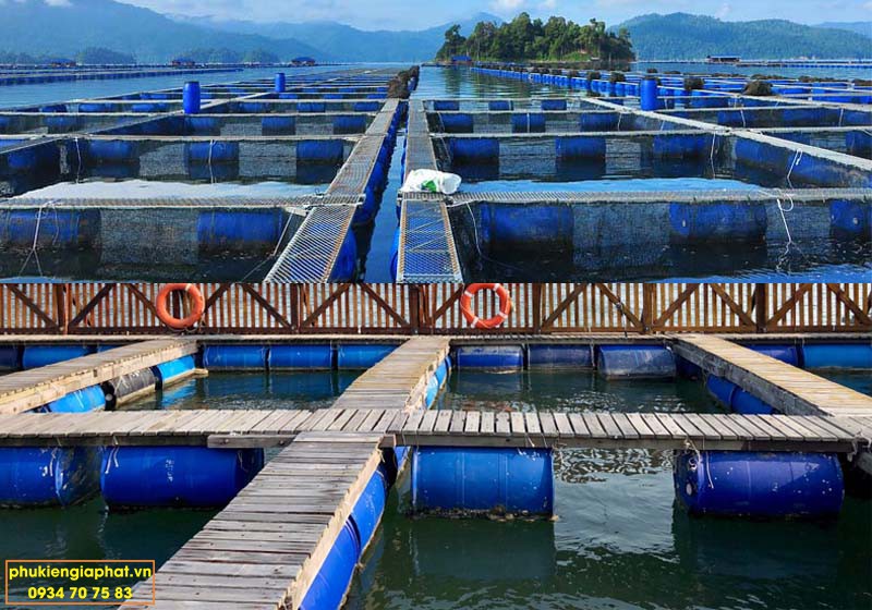 Phi nhựa cũ trơn 50 lít 1 nắp lớn khóa thép