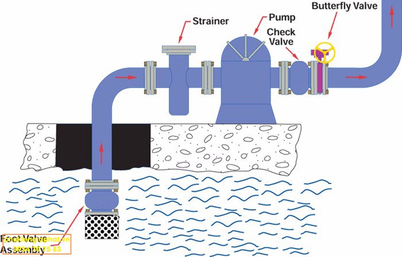 Foot Valve