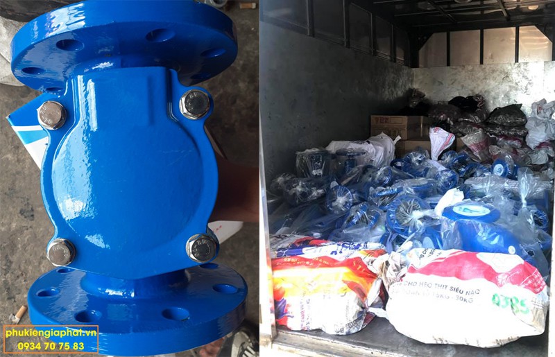 Check valve