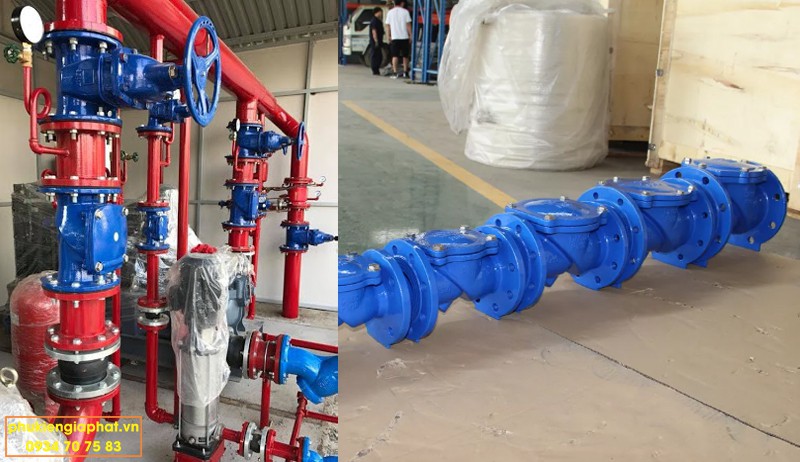 Rubber disc check valve