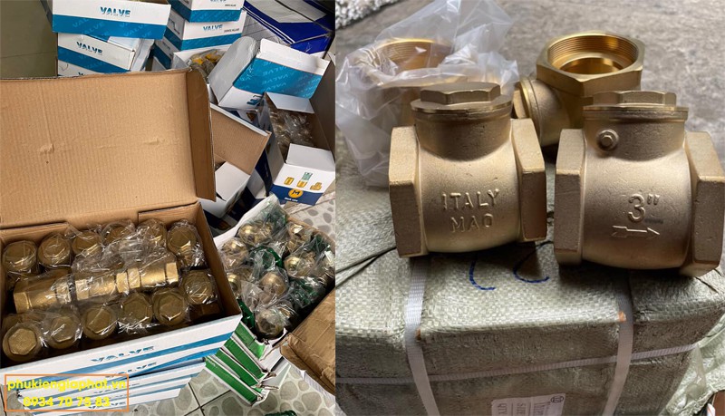 Check Valves Brass