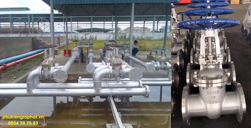 Gate valve CF8M